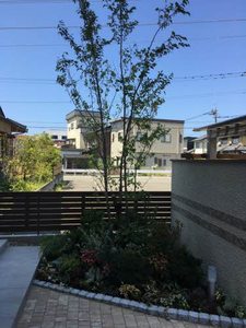 アムレット 0201号-8