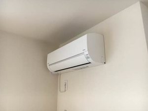 リオリエント　ルピナス 0103号-11