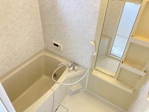 サニーハウス岩波 B102号-9