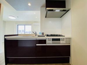 Ｌｉｎｏｎ 0301号-12