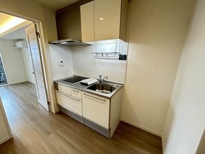 アビタシオン幸町 0305号-10
