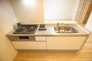 ウィスティリア 0101号-9