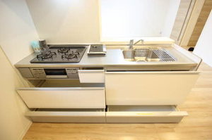 ウィスティリア 0101号-10