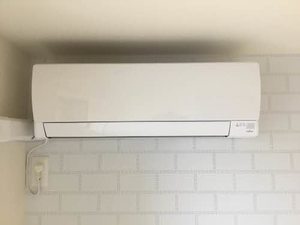 ＥＮ．Ｗ（エンドットダブリュー） 0301号-8