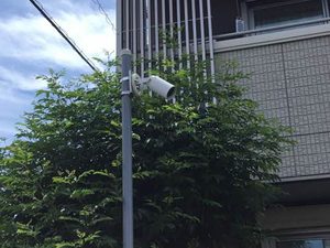 フェアレディ浄水 0102号-2