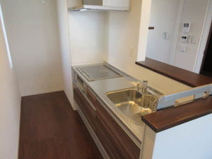 サウスフィールド 0301号-9