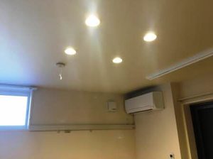 Ｄｒｅａｍｉｏ 0103号-13