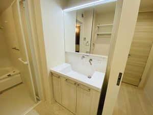 ミグランスⅡ 0201号-8