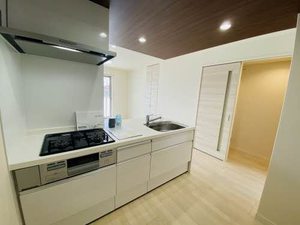 ミグランスⅡ 0201号-10