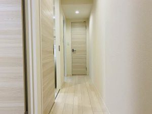 ミグランスⅡ 0201号-11