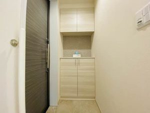 ミグランスⅡ 0201号-15