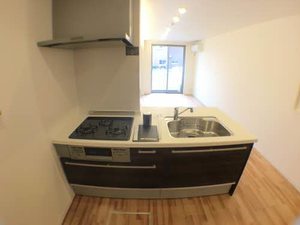 セントリーチェ西丸之内 0102号-7