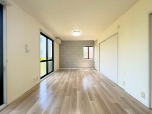 ディアス　ベル　フエーベ 0101号-3