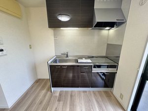 ディアス　ベル　フエーベ 0101号-4