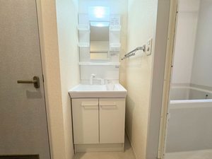 ディアス　ベル　フエーベ 0101号-8