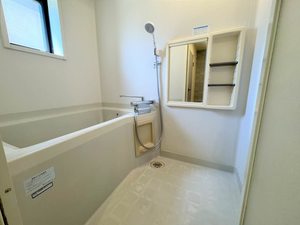 ディアス　ベル　フエーベ 0101号-10