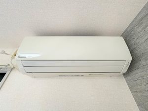 ディアス　ベル　フエーベ 0101号-14