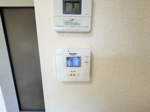 ディアス　ベル　フエーベ 0101号-15