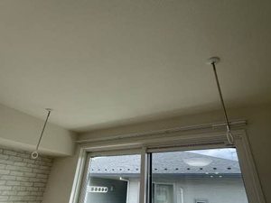 アイリス 0202号-8