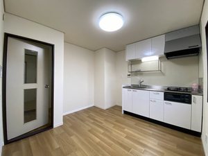 ロワイムクリサンセーム 0101号-2