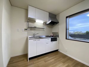 ロワイムクリサンセーム 0101号-3