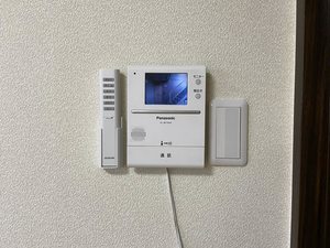 ロワイムクリサンセーム 0101号-13