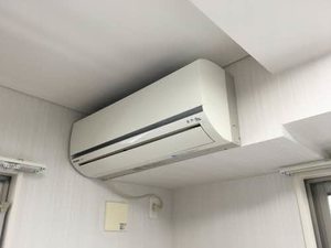 Ｌ’ａｌｂａ　ｄｉ　ｐｒｉｍｏ 0109号-9