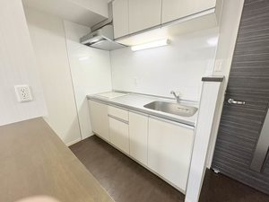 Ｌ’ａｌｂａ　ｄｉ　ｐｒｉｍｏ 0109号-13