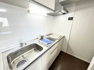 Ｌ’ａｌｂａ　ｄｉ　ｐｒｉｍｏ 0304号-8