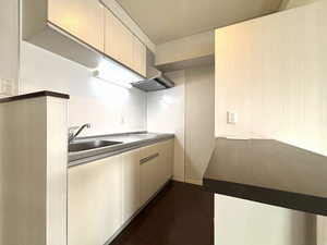 Ｌ’ａｌｂａ　ｄｉ　ｐｒｉｍｏ 0308号-5