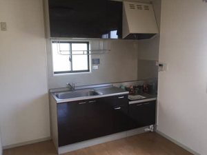 ディアスサンリッチ 0101号-5