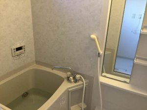 ディアスサンリッチ 0102号-11