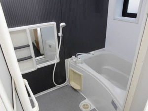 グリーンヴィラ 0102号-9