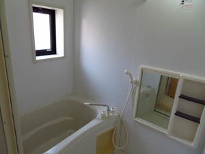 グリーンヴィラ 0203号-10