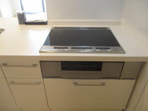 セレニティ　ヴィア 0102号-8