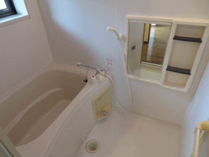 リバーサイドメゾン 0102号-9