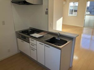 ザセノール石坂 0202号-4