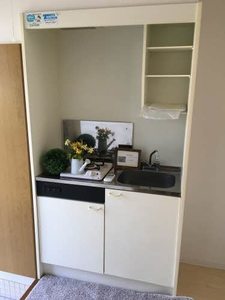 ＡＣＡＮＴＨＵＳ B102号-2