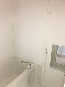 ＡＣＡＮＴＨＵＳ B102号-4