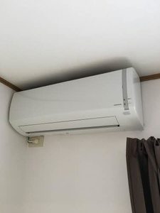 ＡＣＡＮＴＨＵＳ B102号-8