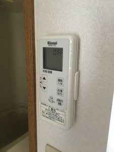 ＡＣＡＮＴＨＵＳ B102号-11