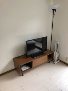 ＡＣＡＮＴＨＵＳ B102号-13