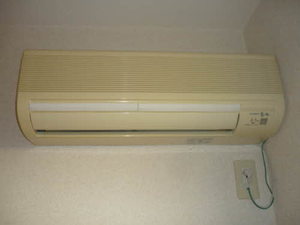 グロリオーサ B202号-5