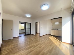 プランシェバラキ B203号-2