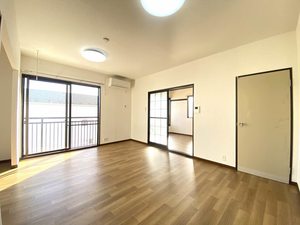 プランシェバラキ B203号-3