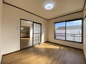 プランシェバラキ B203号-5