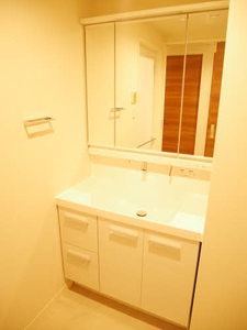 ラヴィータＭ 0101号-5