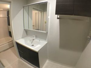 ラ メゾン幸 0203号-9