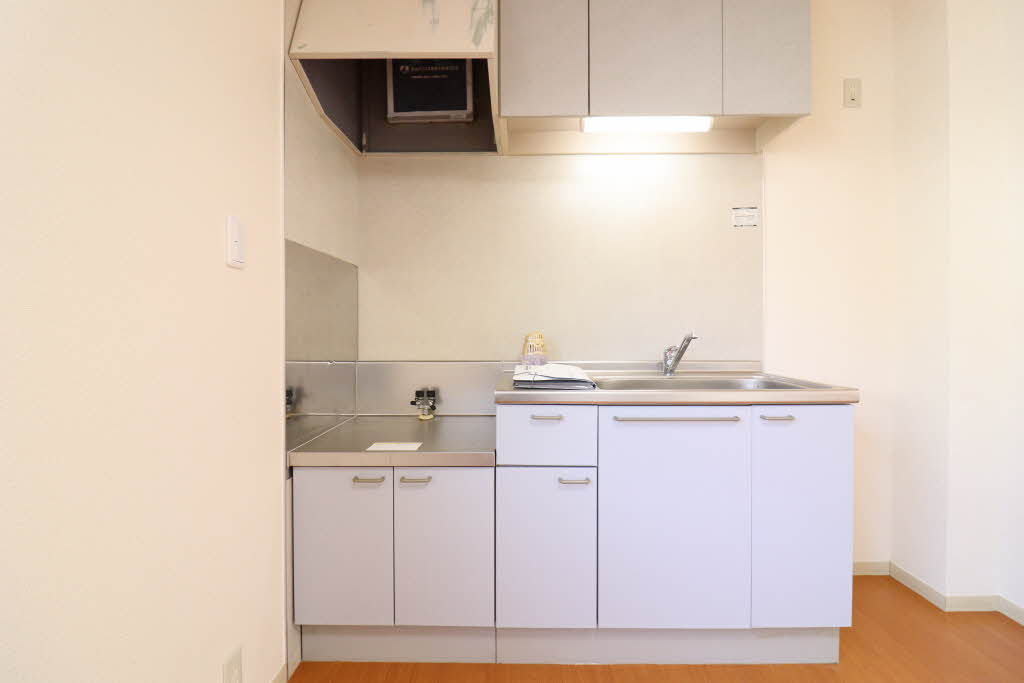 ハイビスカスＣ 0102号-2