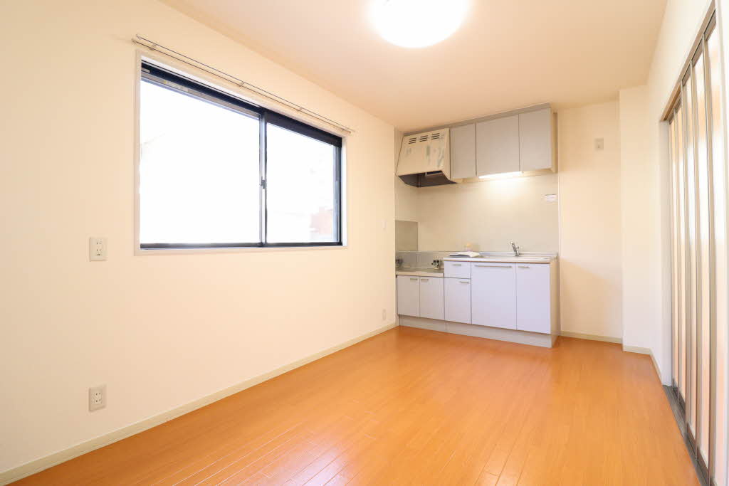 ハイビスカスＣ 0102号-3